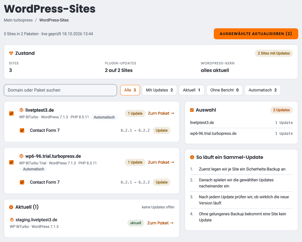 Seite WordPress-Sites mit zwei ausgewählten Plugin-Updates für ein Sammel-Update